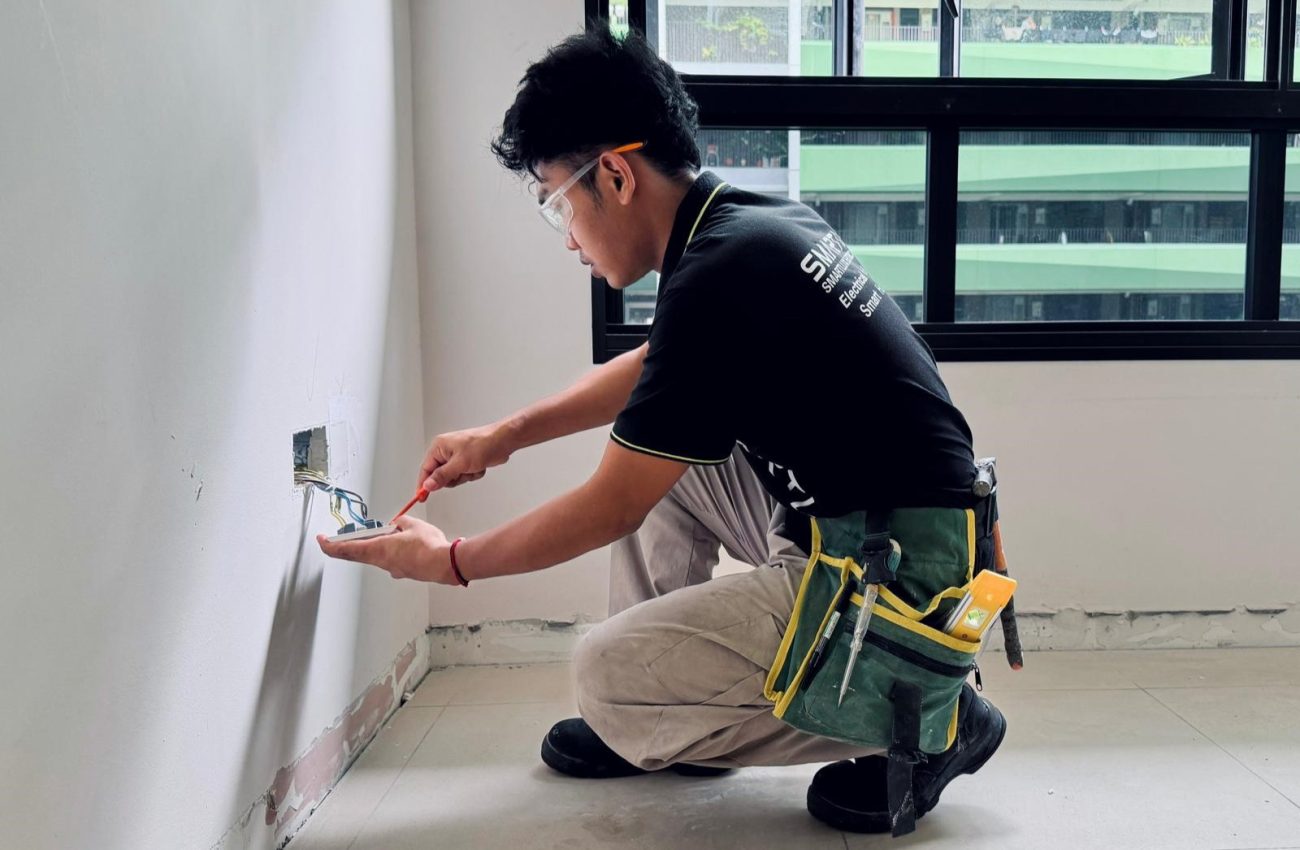 smartlux service (1)